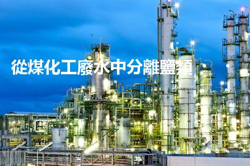 從煤化工廢水中分離鹽類，解析工藝及應用